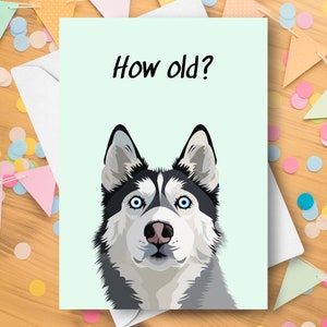 Grappige husky verjaardagskaart, hoe oud verrast plagen humoristische grapgroet, ouder worden schattige Siberische husky puppy cadeau