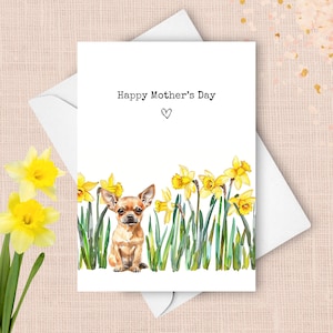 Tarjeta del Día de la Madre de un Chihuahua, de un lindo perrito. Saludo para el Día de la Madre. Narcisos amarillos, regalo para mamá. Flores de primavera en acuarela.