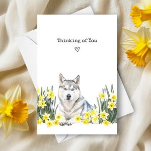 Carte de husky pensant à vous, chien de compagnie envoyant des voeux d'amour, cadeau de sympathie jonquilles jaunes, cadeau aquarelle fleurs husky sibérien