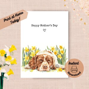 Tarjeta imprimible para el Día de la Madre de Bretaña, descarga instantánea, impresión en casa, narcisos amarillos, regalo para mamá, cachorro spaniel, flores, acuarela, regalo