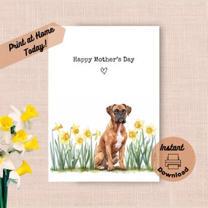 Tarjeta imprimible para el Día de la Madre con un perro bóxer. Descarga instantánea. Imprime en casa. Regalo de narcisos amarillos para mamá. Flores de primavera. Regalo de acuarela para mamá.