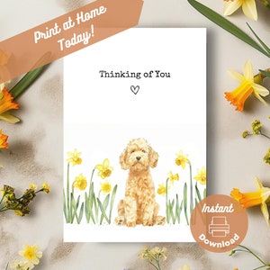 May include: Printable card with a watercolor illustration of a small dog sitting in a field of yellow daffodils. The card says "Thinking of You" with a heart symbol.