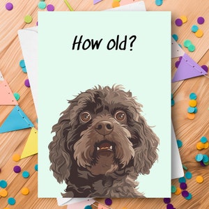 Lustige Labradoodle Geburtstagskarte, wie alt überrascht neckender humorvoller Witzgruß, immer älter alternder Schokoladen-Labradoodle-Welpen-Hundegeschenk