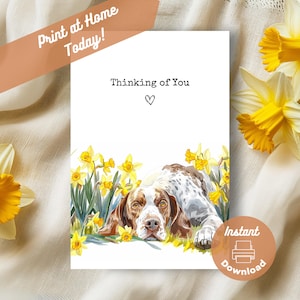 Carte imprimable « Thinking of you », téléchargement immédiat, impression à la maison, cadeau jonquilles jaunes, cadeau aquarelle de fleurs de chien de pointeur anglais