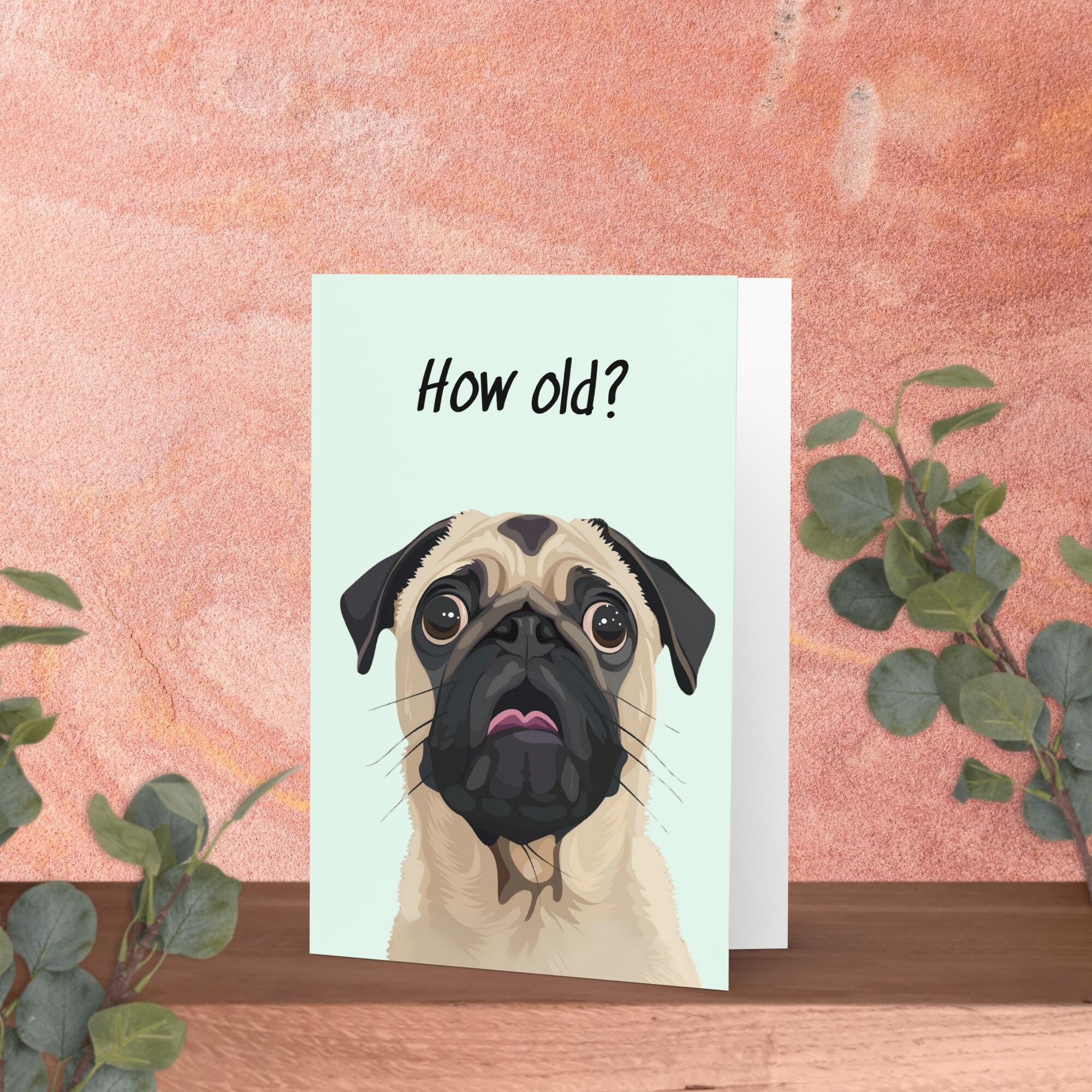 Biglietto Di Compleanno Umoristico Con Cane How Old?, 15x20 Cm, Fatto A Mano UK