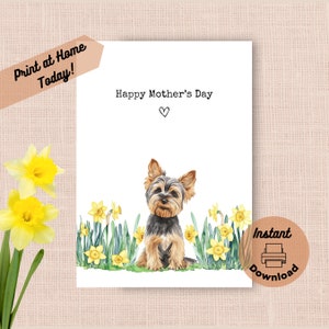 Tarjeta imprimible para el Día de la Madre de Yorkshire Terrier, descarga instantánea, impresión en casa, narcisos amarillos, regalo para mamá, primavera, Yorkshire Terrier, acuarela.