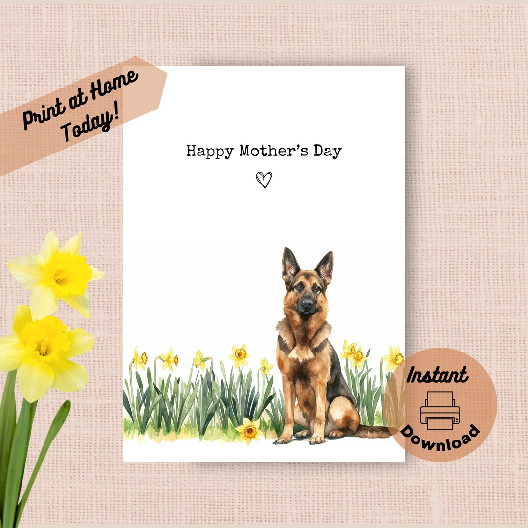 good shepherd parents day out