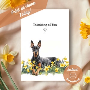 Carte imprimable Dobermann Thinking of You, téléchargement immédiat, impression à la maison, cadeau jonquilles jaunes, cadeau aquarelle fleurs Dobermann Pinscher