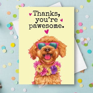 Carte de remerciement amusante Golden Doodle, voeux de jeu de mots humoristique pour chien de compagnie, cadeau personnalisé avec nom personnalisé, cadeau de chien heureux avec des lunettes de soleil