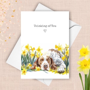 Carte pense à vous avec pointeur, chien pointeur anglais envoyant des voeux d'amour, cadeau de sympathie jonquilles jaunes, cadeau aquarelle de fleurs