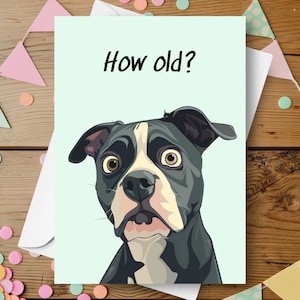 Cartão de aniversário engraçado para Pit Bull, saudação de piada engraçada e provocativa para surpreender e provocar, presente fofo para Pit Bull preto e branco envelhecendo