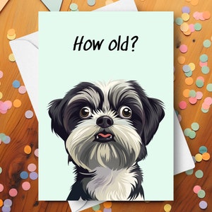 Divertida tarjeta de cumpleaños de un Shih Tzu. Saludo de broma humorística y sorpresa para un Shih Tzu mayor. Envejecimiento, bromas, lindo regalo para un cachorro Shih Tzu.