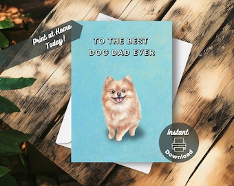 Vendita cucciolo Volpino Pomerania da Privato a Roma adorabile!! cuccioli di pomerania giocattolo