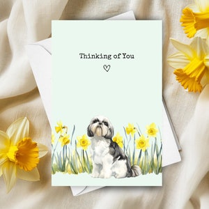 Carte Shih Tzu pensant à vous, chien de compagnie envoyant des voeux d'amour, cadeau de sympathie jonquilles jaunes blanches, cadeau aquarelle fleurs de printemps