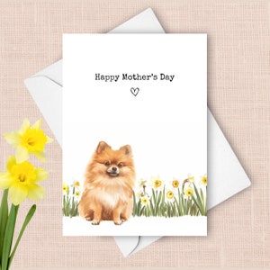 Muttertagskarte von Pommern, Haustierhund glücklicher Muttertagsgruß, gelbes Narzissengeschenk für Mutter, Frühlingsblumen-Aquarellgeschenk