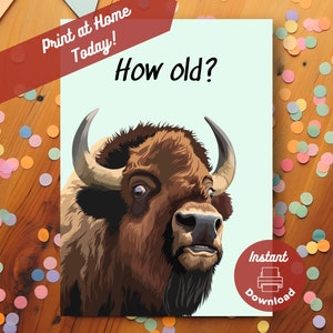 Carte d'anniversaire imprimable drôle de bison, téléchargement immédiat de bison américain, impression à la carte à la maison, salutation de plaisanterie de vieillissement de taquineries de quel âge