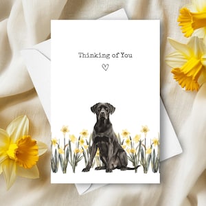 Carte de laboratoire noir pensant à vous, chien de compagnie envoyant des voeux d'amour, cadeau de sympathie jonquilles jaunes, cadeau aquarelle labrador retriever