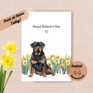 Tarjeta imprimible para el Día de la Madre con un rottweiler. Descarga instantánea. Imprime en casa. Regalo de narcisos amarillos para mamá. Flores de primavera en acuarela.