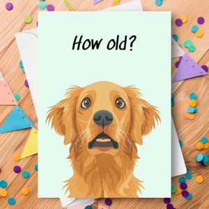 Golden Retriever Geburtstagskarte, wie alt überrascht neckender humorvoller Witzgruß, immer älter alternder netter Golden Retriever-Hund Geschenk