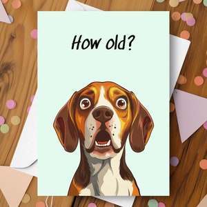 Lustige Beagle Geburtstagskarte, wie alt überrascht neckender humorvoller Witz Gruß, immer älter spöttischer Spaß alternder niedlicher Beagle-Welpen-Hundegeschenke