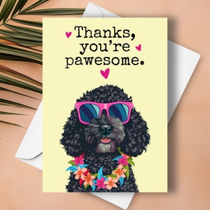 Carte de remerciement drôle de caniche, voeux de jeu de mots humoristique pour chien de compagnie, cadeau personnalisé avec nom personnalisé, chien caniche noir avec lunettes de soleil en cadeau
