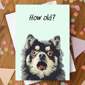 Lustige Pomsky Geburtstagskarte, wie alt überrascht neckender humorvoller Witzgruß, immer älter alternder netter entzückender schwarzer Pomsky-Welpen-Hundegeschenk