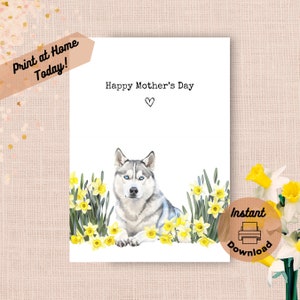 Tarjeta imprimible para el Día de la Madre con un Husky, descarga instantánea, imprime en casa, regalo de narcisos amarillos para mamá, regalo de acuarela con flores de Husky siberiano.