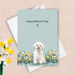 Tarjeta del Día de la Madre de un Bichón Frisé, saludos para el Día de la Madre, regalo de narcisos amarillos para mamá, regalo de acuarela con flores de primavera.