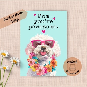 Cartão de Dia das Mães Bichon Frise para impressão, download instantâneo, impressão em casa, presente engraçado e incrível para a mãe, cachorro feliz com óculos de sol