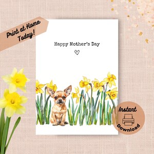 Tarjeta imprimible para el Día de la Madre de un chihuahua, descarga instantánea, imprime en casa, regalo de narcisos amarillos para mamá, regalo de acuarela con flores de primavera para perro.