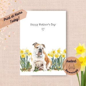 Afdrukbare Bulldog Moederdagkaart, Instant Download Print thuis gele narcissen cadeau voor moeder, Engelse lentebloemen aquarel aanwezig