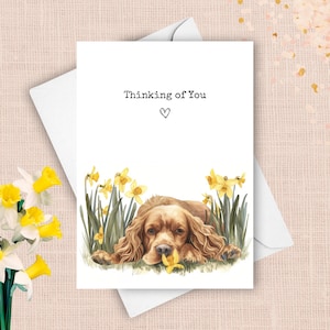 Cocker Spaniel pensando en tu tarjeta, perro mascota enviando saludo de amor alegre, regalo de simpatía de narcisos amarillos, flores de primavera acuarela presente