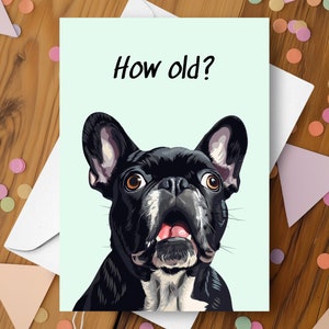 Lustige Geburtstagskarte für französische Bulldogge, wie alt überrascht, neckender humorvoller Witzgruß, immer älter, alternder süßer französischer Bulldogge Geschenk