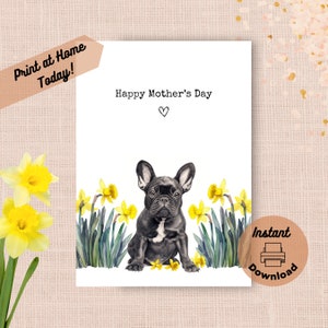 Cartão de dia das mães de buldogue francês para impressão, download instantâneo, impressão em casa, presente de narcisos amarelos para a mãe, presente de aquarela de flores da primavera