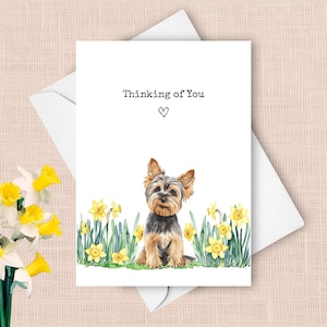 Biglietto di auguri per Scottish Terrier che ti pensa, cane Scottie che invia allegria saluto narcisi gialli regalo di simpatia, fiori primaverili acquerello presente