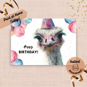Cartão de aniversário de avestruz para impressão, download instantâneo, presente para imprimir em casa, presente engraçado de pássaro selvagem, ilustração colorida de retrato em aquarela