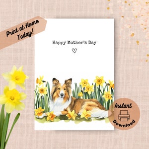 Tarjeta imprimible para el Día de la Madre de un Collie de Pelo Largo, descarga instantánea, impresión en casa, regalo de narcisos amarillos para mamá, regalo de acuarela con flores de Collie de Pelo Largo
