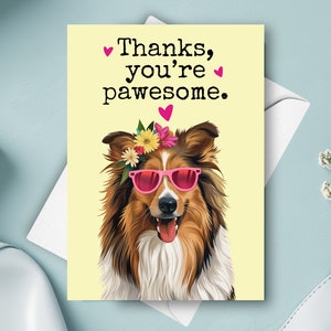 Carte de remerciement pour colley, chien drôle, remerciements humoristiques avec jeu de mots, cadeau personnalisé avec nom personnalisé, Rough Collie avec lunettes de soleil en cadeau