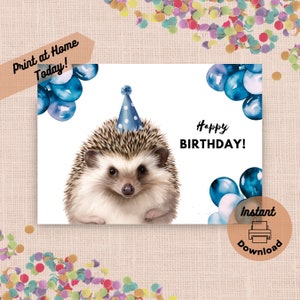 Carte d'anniversaire imprimable hérisson, téléchargement immédiat, impression à la maison, portrait mignon de hérisson avec chapeau de fête et ballons, cadeau de la faune