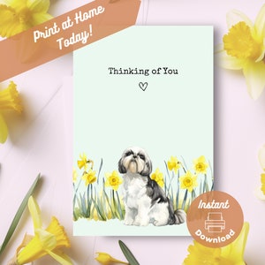 Carte imprimable Shih Tzu Thinking of You, téléchargement immédiat, impression à la maison, cadeau jonquilles jaunes, cadeau aquarelle de fleurs de chien shih tzu heureux