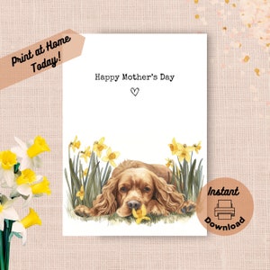 Tarjeta imprimible para el Día de la Madre de un Cocker Spaniel. Descarga instantánea. Imprime en casa. Regalo de narcisos amarillos para mamá. Regalo de acuarela para perro de primavera.
