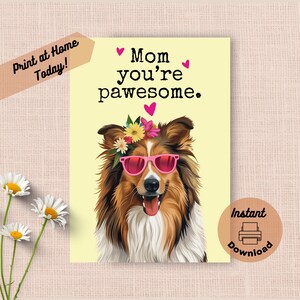 Cartão de Dia das Mães Collie para impressão, download instantâneo, impressão em casa, presente engraçado e incrível para a mãe, óculos de sol Happy Rough Collie, presente