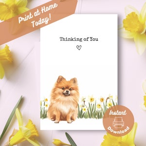 Kleinspitz Denken an Sie Karte, sofortdownload Druck zu Hause Gelbe Narzissen Geschenk, Kleinspitz Hund Aquarell Geschenk, Spitz Hund Denken an Sie