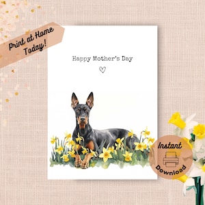 Tarjeta imprimible para el Día de la Madre con un Doberman. Descarga instantánea. Imprime en casa. Regalo de narcisos amarillos para mamá. Regalo de acuarela con un Doberman Pinscher.