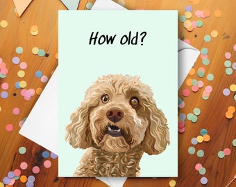 Tarjeta de cumpleaños divertida para Cockapoo, saludo humorístico con broma de sorpresa y sorpresa, regalo para cachorros Cockapoo color albaricoque adorables que desean celebrar la vejez.