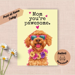 Cartão de Dia das Mães Golden Doodle para impressão, download instantâneo, impressão em casa, presente engraçado e incrível para a mãe, cachorro feliz com óculos de sol