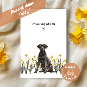 Druckbare Karte, schwarz Labrador, denken an Sie Karte, sofortiger Download Druck zu Hause gelbe Narzissen Geschenk, Labrador Retriever Blume Aquarell vorhanden