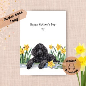 Tarjeta imprimible para el Día de la Madre con un caniche negro. Descarga instantánea. Imprime en casa. Regalo de narcisos amarillos para mamá. Flores de primavera en acuarela.