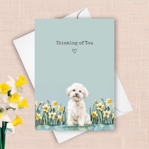 Carte pensant à vous Bichon Frise, chien de compagnie envoyant des voeux d'amour, cadeau de sympathie jonquilles jaunes, cadeau aquarelle fleurs de printemps