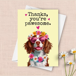 Lustige Brittany Spaniel-Dankeschön-Karte, Haustierhund-dank-Humorvolles Wortspiel-Gruß, kundenspezifischer Name personalisiertes Geschenk, glücklicher Hund Sonnenbrillen vorhanden